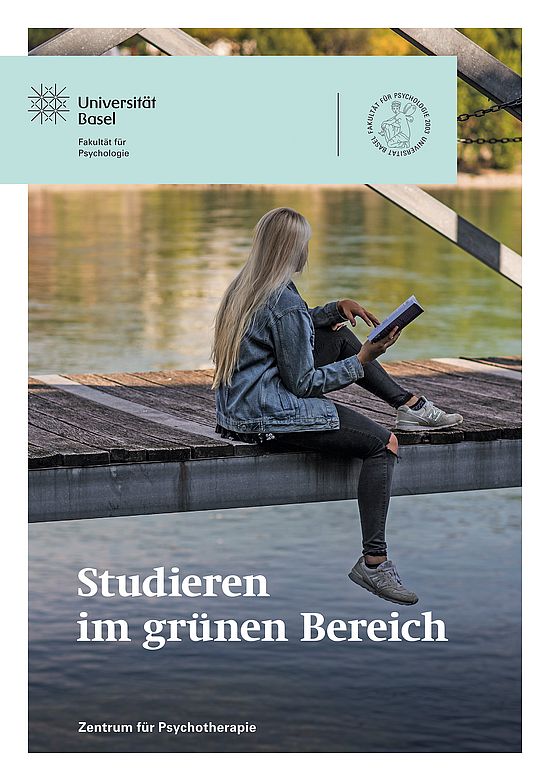 Flyer S