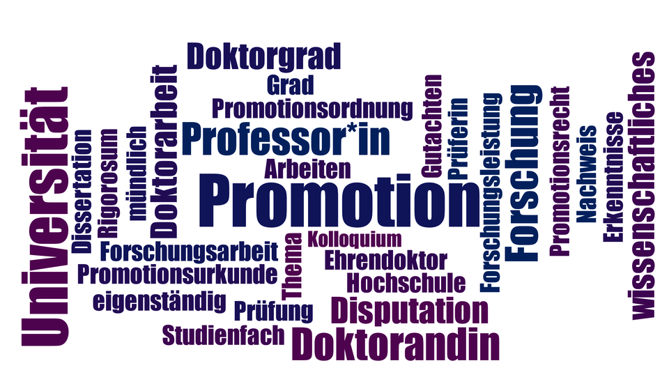 Wortwolke in lila, blau, violett, zentriert um das Wort Promotion. Andere Worte sind Professor*in, Doktorandin oder Ehrendoktor.