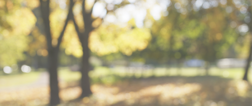 Banner Sustainability and Behavior Change