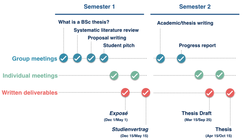 BSc Timeline