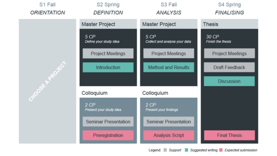 Master Project