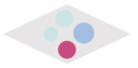 values_logo