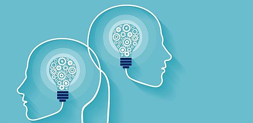 Zweites und Drittes Studienjahr Bild