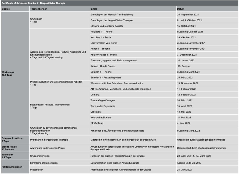 Curriculum CAS TGT21