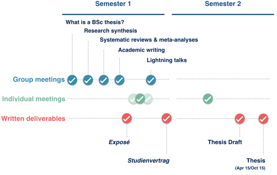 BSc Plan