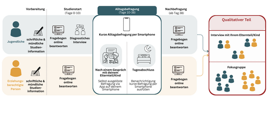Reach_Ablauf