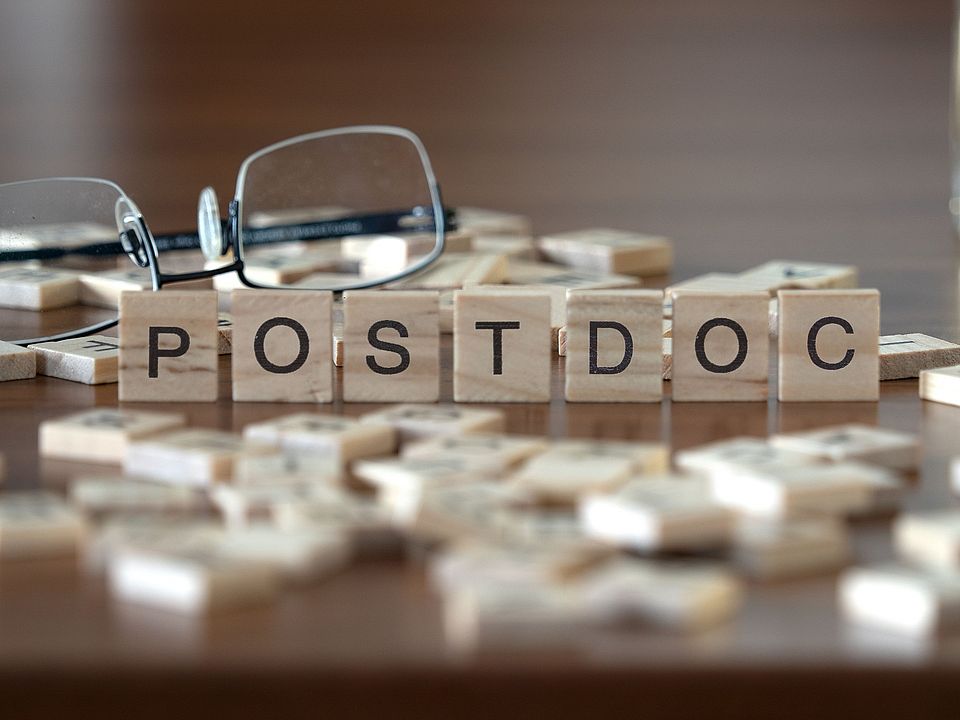 Postdocs