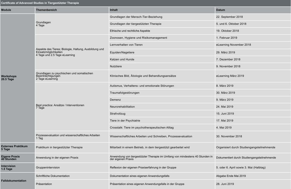 Curriculum CAS TGT Jahrgang 2018-2019