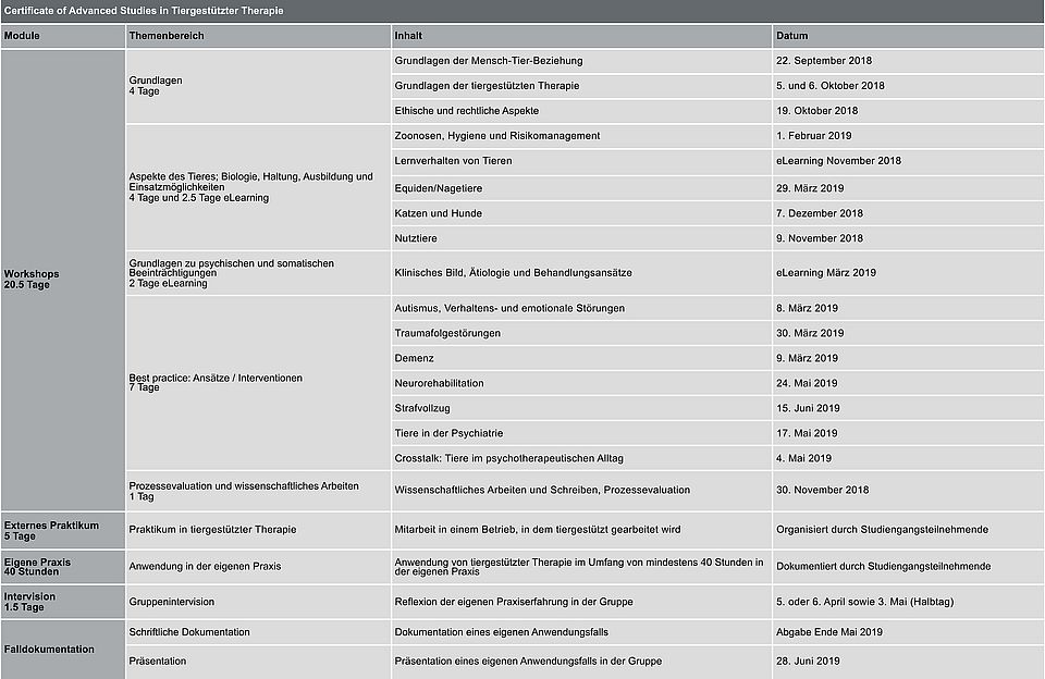 Curriculum CAS TGT Jahrgang 2018-2019